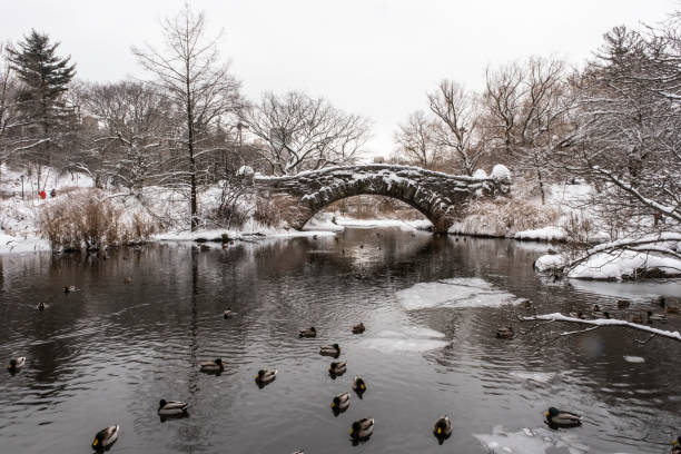 istock Snow in the park 1300056166