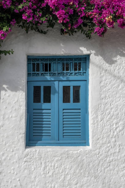 istock Window of a house in Olinda 1300057214