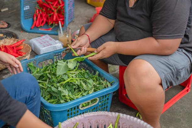 istock Unrecognizable two Asian woman cutting morning glory vegetables 1300057482