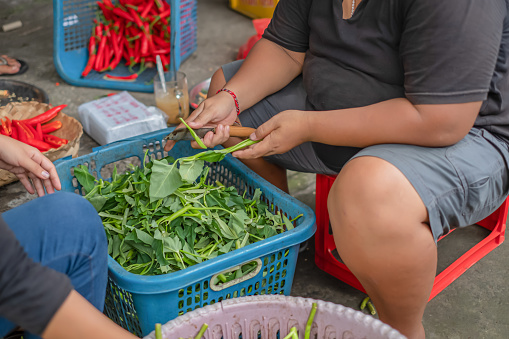 Cropped shot of two unrecognizable Asian woman cutting morning glory vegetables. Both of them are sitting on a plastic crate box container. There is a basket of chilli peppers beside them.