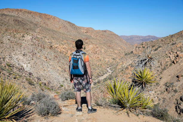 istock Hiker in Joshua Tree National Park, California 1300058948