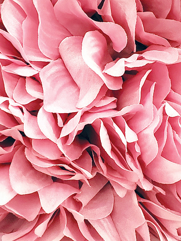 Pink flower petals textured background