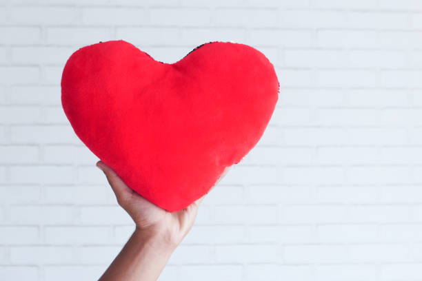 istock hand holding red heart symbol on white background 1300060568