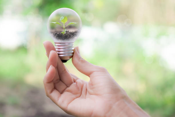 istock Saving environment, arbor day, card for world earth day concept. 1300060659