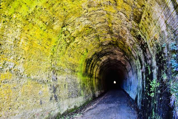 istock Tunnel entrance 1300064461