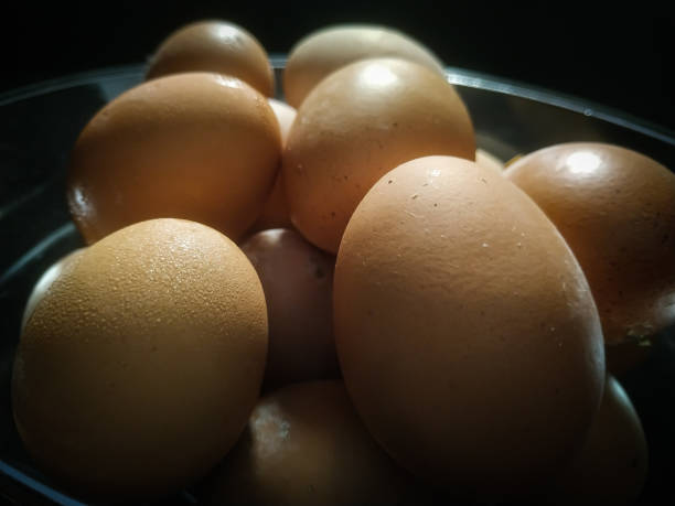istock a bowl of eggs isolated on black background 1300065342