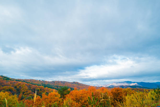 istock autumn colors around Fukushima 2020 1300069014