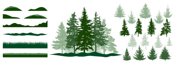 ilustrações, clipart, desenhos animados e ícones de floresta, kit de construção. silhuetas de lindas árvores de abeto, grama, colina. coleção de elementos para criar bela floresta, parque, floresta, paisagem. ilustração vetorial. - tree single object remote landscape