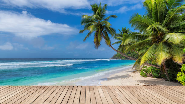 Beach wooden table and coconut palms with party on tropical beach background. Empty wooden table and coconut palms with party on tropical beach background. Empty ready for your product display montage. Concept of beach party in summer vacations. florida food stock pictures, royalty-free photos & images