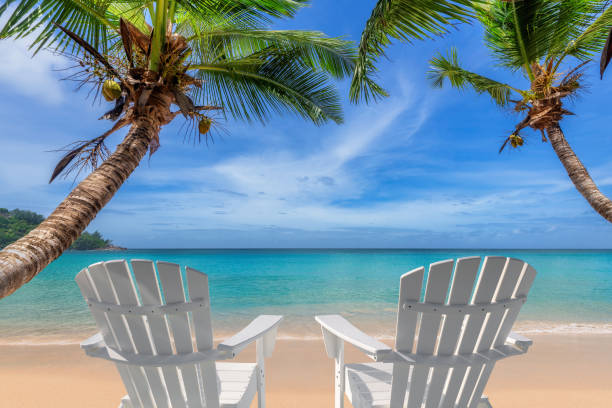 istock Sunny tropical beach vacations in Caribbean sea 1300077606