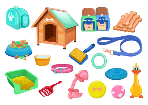 istock Trendy various accessories for cats and dogs 1300077740