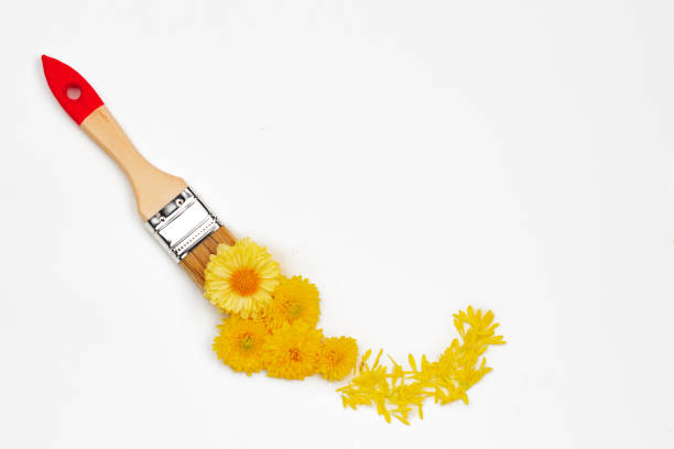 istock Paint brush and flower buds on white background 1300078795