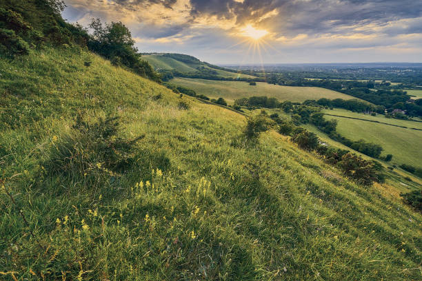 istock a view across chalk grassland on the South Downs National Park 1300078856