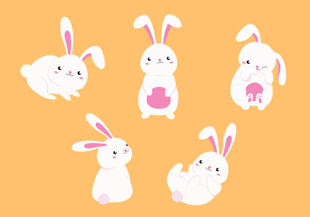 ilustraciones, imágenes clip art, dibujos animados e iconos de stock de colección de lindo conejo elemento de dibujos animados. ilustración vectorial diseño plano. - easter bunny