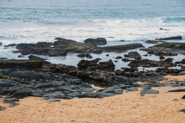 istock Black Rocks on Shoreline with Clean Beach Sand 1300080849