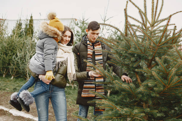 istock Family choosing a christmas tree 1300080948