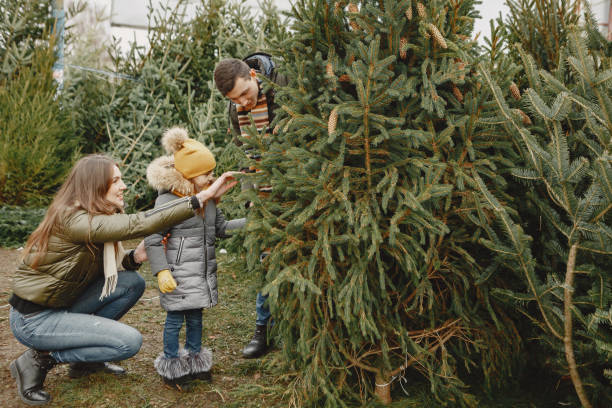 istock Family choosing a christmas tree 1300081008