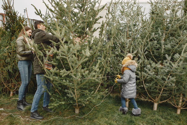 istock Family choosing a christmas tree 1300081053