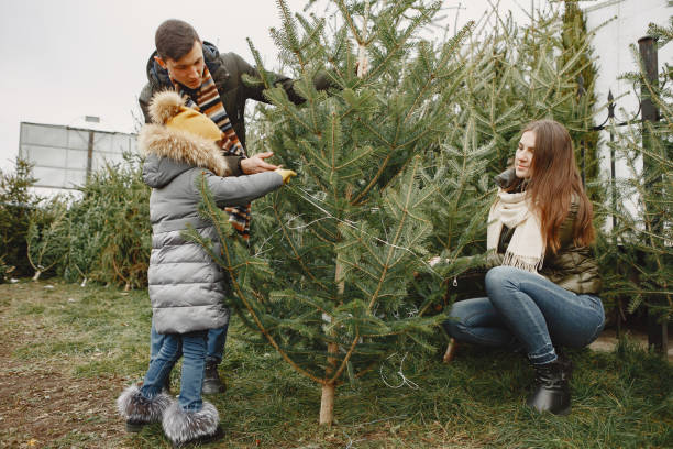 istock Family choosing a christmas tree 1300081102