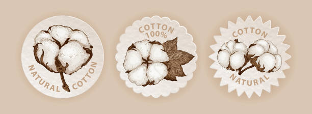 ilustrações de stock, clip art, desenhos animados e ícones de cotton sticker set - circle nature botany bud