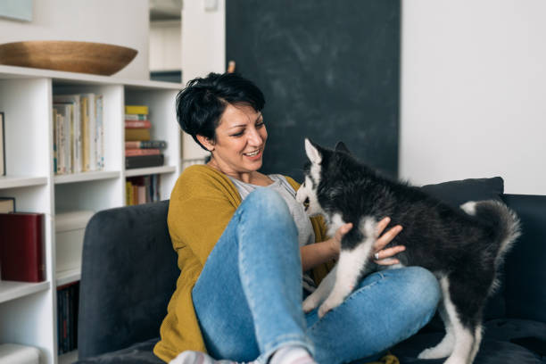 istock woman playing with her dog in her suite 1300082436