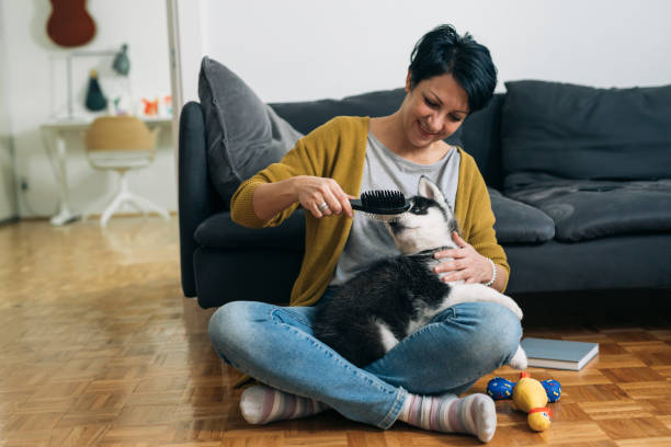istock woman playing with her dog in her suite 1300082543