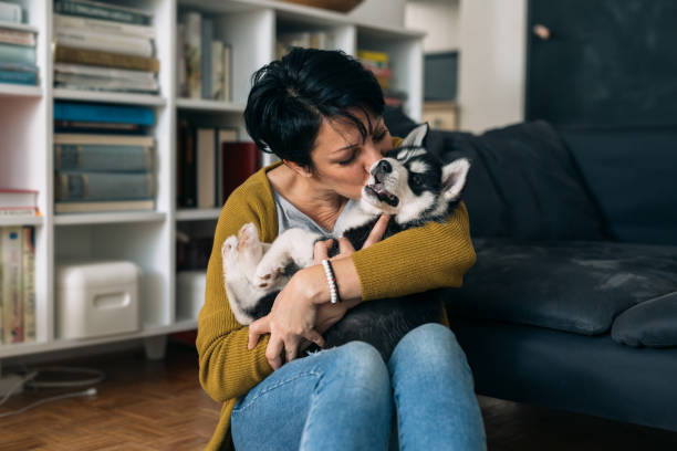 istock woman playing with her dog in her suite 1300083276