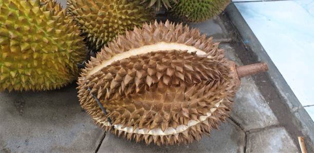 istock close up fresh durian fruit 1300086072