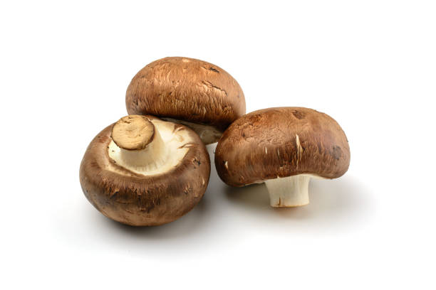 istock Champignon.Royal mushroom champignons, close-up, isolated on a white background. 1300086170