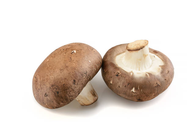 istock Champignon.Royal mushroom champignons, close-up, isolated on a white background. 1300086182
