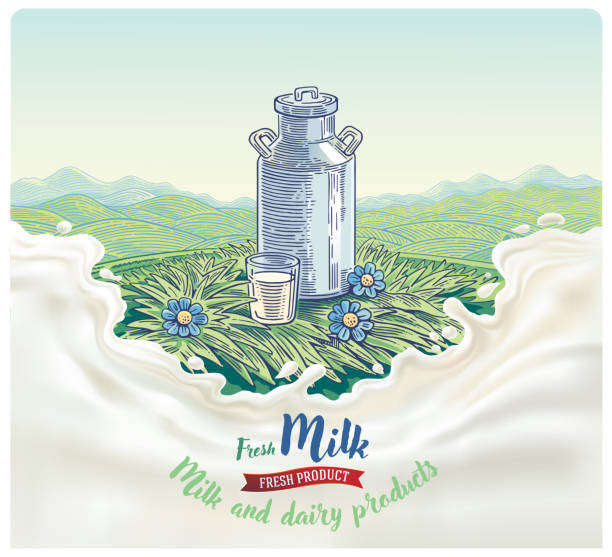 Milk can and splash of milk. vector art illustration