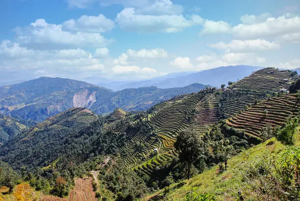 Mountains in the Valley of the Helambu sindhupalchowk in Nepal