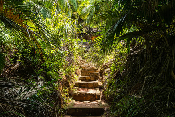 Fond Ferdinand Nature Reserve on Praslin, Seychelles