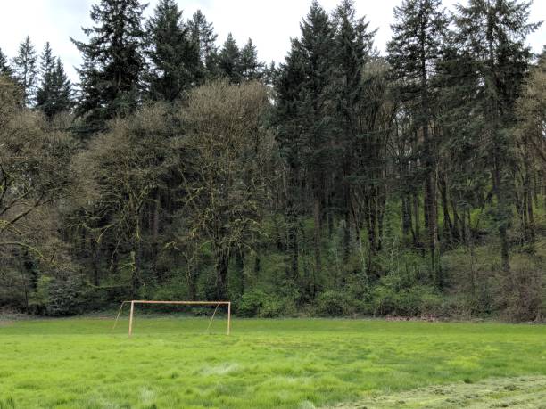 istock Abandoned soccer field 1300098042