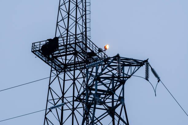 istock Tower of a high-voltage electric power transmission line 1300098376