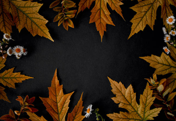 istock Autumn orange leaves. 1300099600