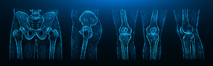 Polygonal vector illustration of the pelvis, hip joint and knees on a dark blue background. Human Anatomy medical template.