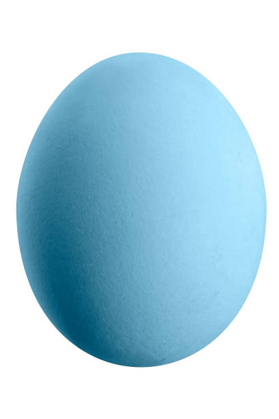 Large picture of an isolated colorful easter egg with a white background.