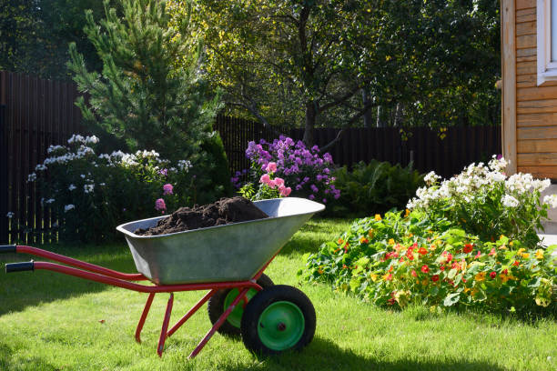 istock Wheelbarrow full of compost on yard 1300105104