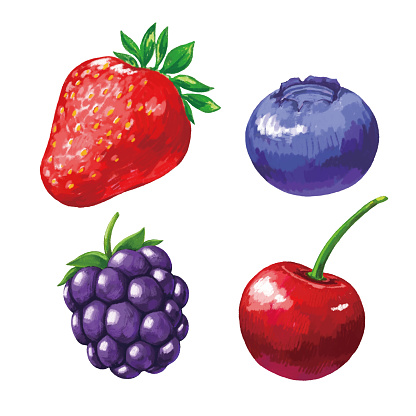 Set Of Painting Berries