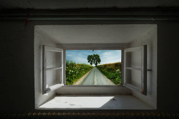 An open window with a view of the countryside