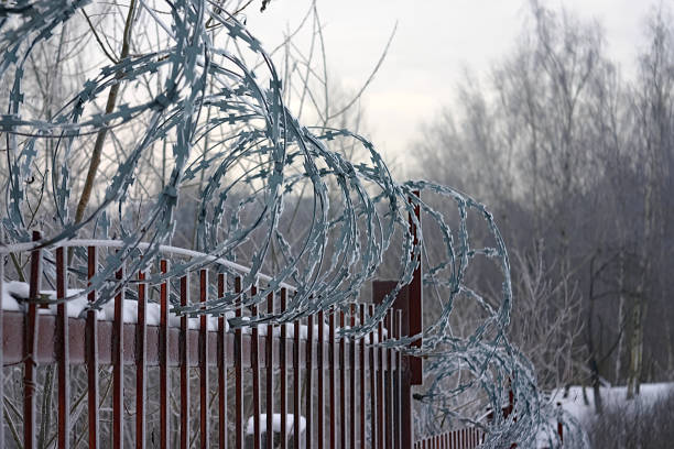 istock metal fence with barbed wire in winter forest 1300107520