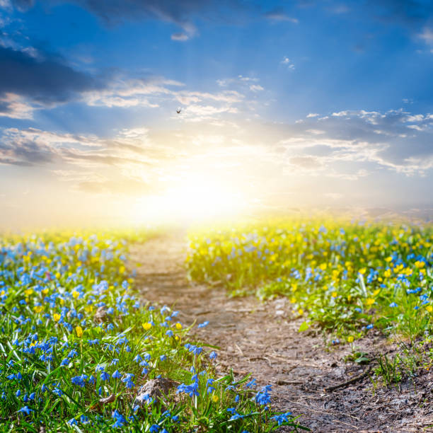 istock beautiful field at the sunrise 1300109605