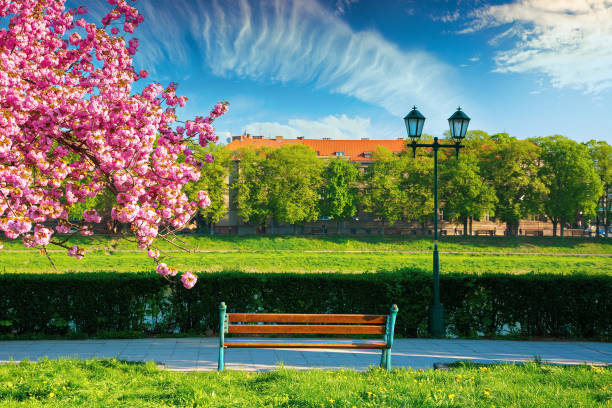 istock wonderful urban scenery in the morning 1300109848