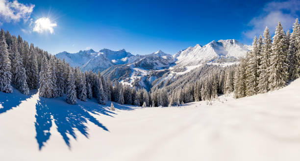 Aerial view of a ski resort with snowcapped trees Aerial view of a snowy winter landscape and perfect conditions in ski resort in the morning. Panorama photographed in Brandnertal, Vorarlberg, Austria. snowcapped mountain stock pictures, royalty-free photos & images
