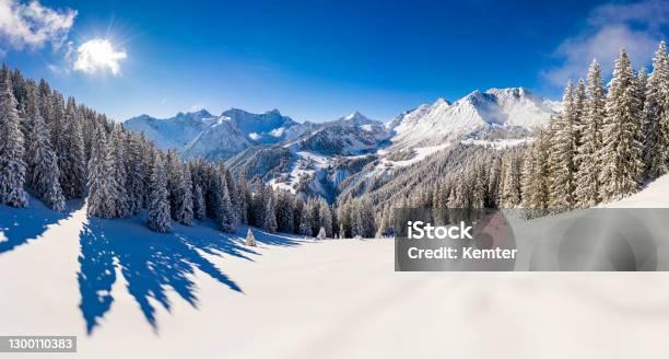 Aerial View Of A Ski Resort With Snowcapped Trees Stock Photo - Download Image Now - Ski Slope, Skiing, Snowcapped Mountain