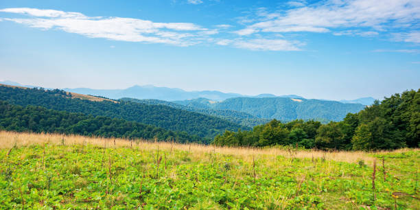 istock summer landscape of carpathian mountains 1300110389