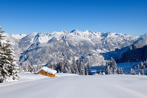 The snowdrifts and green grass on top of mountains in the tropical forest. The alpine mountains and meadows.