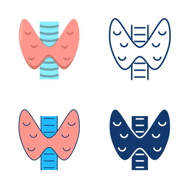 Thyroid icon set in flat and line style Thyroid icon set in flat and line style. Human internal organ symbol. Vector illustration. thyroid disease stock illustrations
