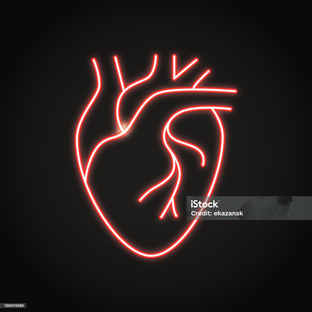 cuore anatomico NEON